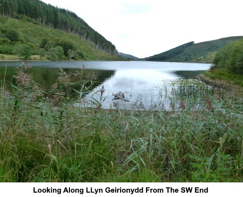 Looking along Llyn Geirionydd from the south western end.