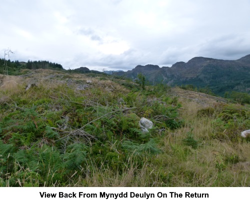 View back from Mynydd Deulin on the return.