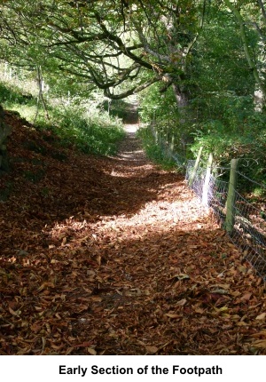 Teesdale Way footpath