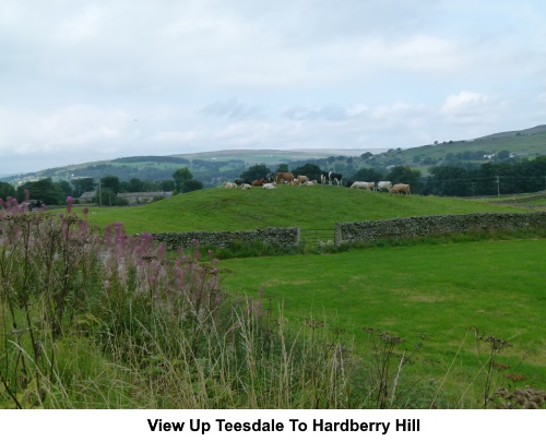 View up Teesdale to Harberry Hill.