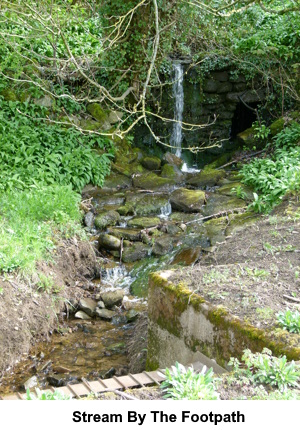 A stream by the footpath.