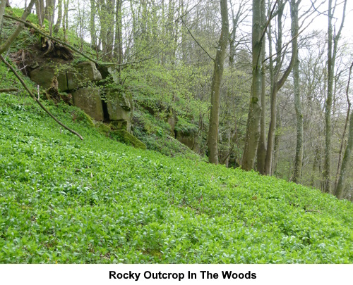 Rocky outcrop in the woods.