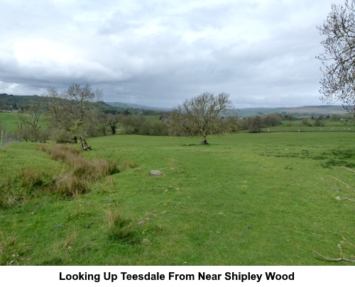 Looking up Teesdale from near Shipley Wood.