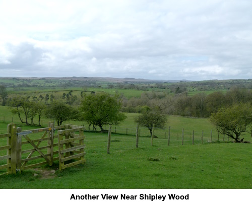 Another view near Shipley Wood.