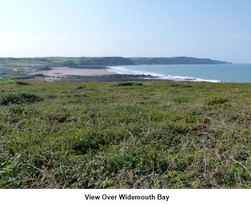 Widemouth Bay view