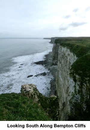 A view looking south along Bempton Cliffs.