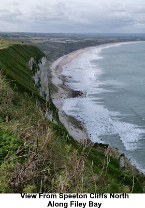The view from Speeton Cliffs north along Filey Bay.
