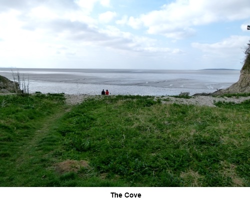 The Cove at Silverdale