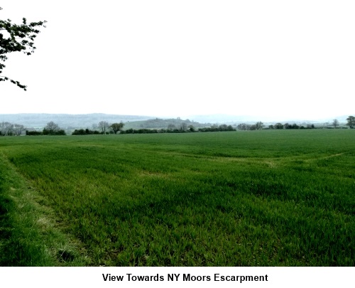 View towards North York Moors escarpment