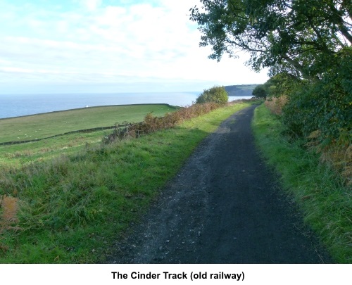 The Cinder Track