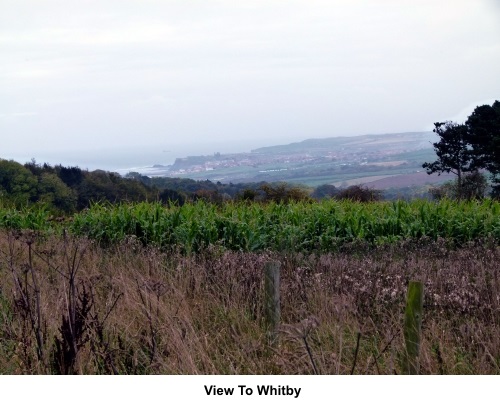 View to Whitby