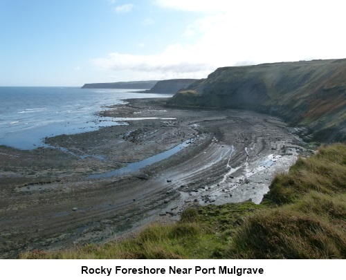 The rocky foreshore near Port Mulgrave.