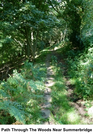 Path through the woods near Summerbridge