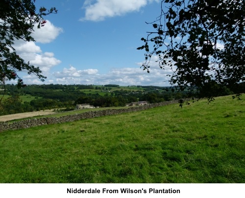 Nidderdale from Wilson's Plantation