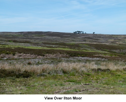 View over Ilton Moor