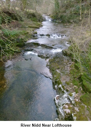 River Nidd near Lofthouse
