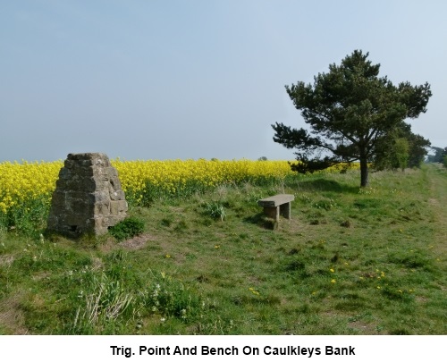 The trig. point and bench on Caulkley Bank