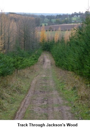 Jacksons Wood track