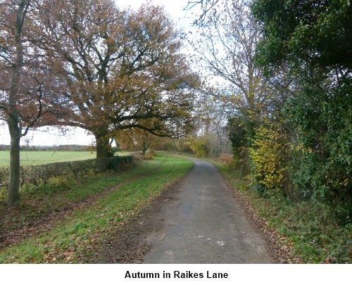Autumn in Raikes Lane
