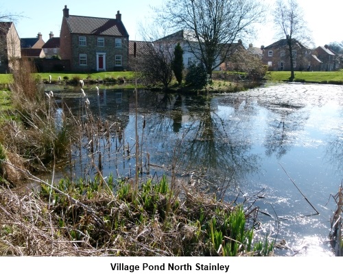 Village pond North Stainley