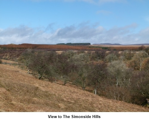 View towards the Simonside Hills