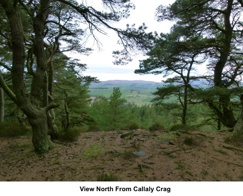 View north from Callaly Crag