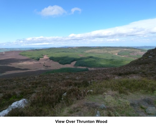 View over Thrunton Wood