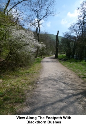 View along the footpath in Dovedale