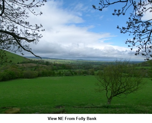 View NE from Folly Bank