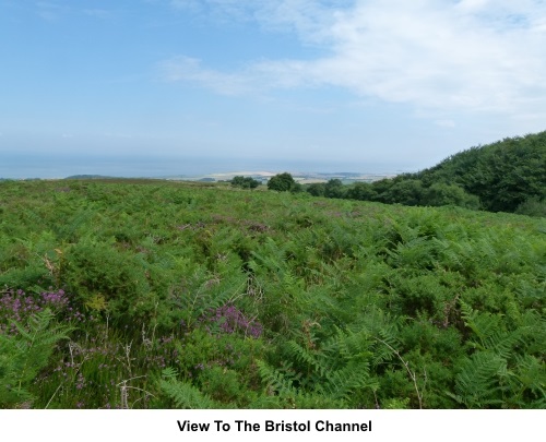 View to the Bristol Channel