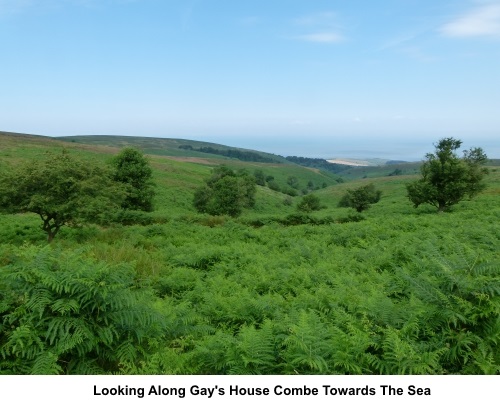 Looking along Gay's House Combe to the sea