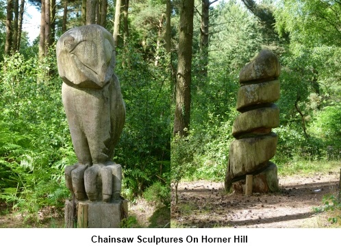 Chainsaw sculptures on Horner Hill