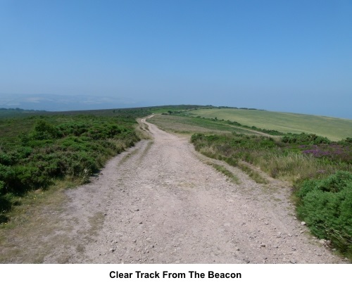Track from Selworthy Beacon