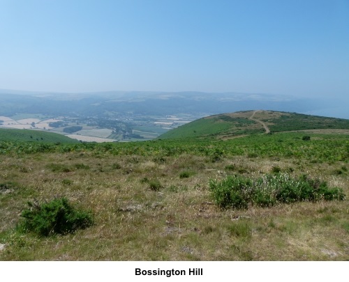 Bossington Hill