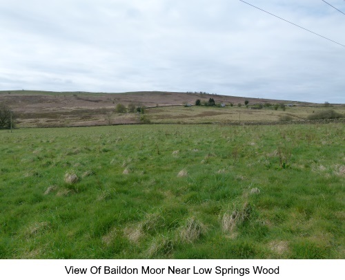 View of Baildon Moor from near Low Springs Wood.