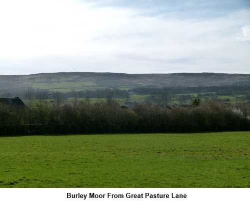 Burley Moor from Great Pasture lane