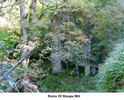 Staups Mill ruin
