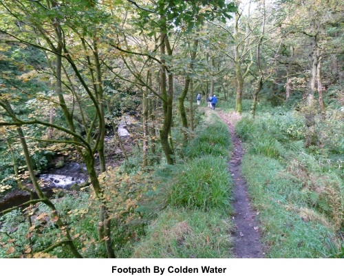 Footpath by Colden water