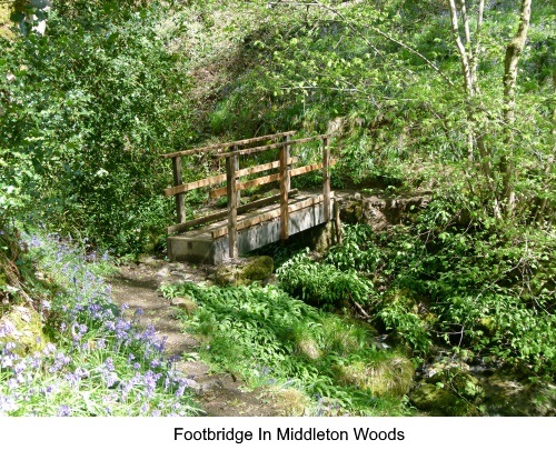 Footbridge in Middleton Woods, Ilkley.