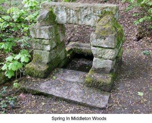 Spring in Middleton Woods