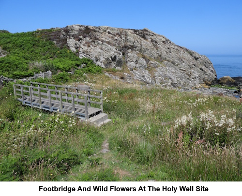 Footbridge and wild flowers at the holy well site.