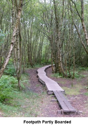 Partly boarded footpath