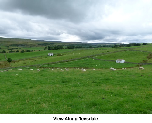 A view along Teesdale