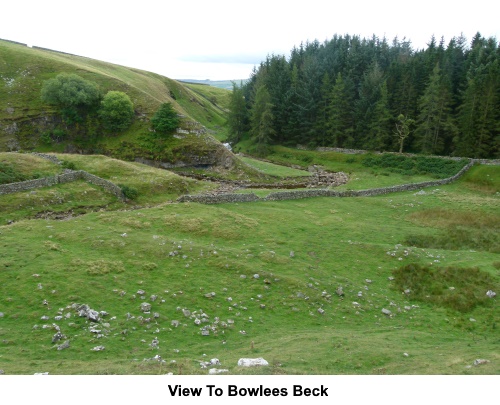 A view to Bowlees Beck.