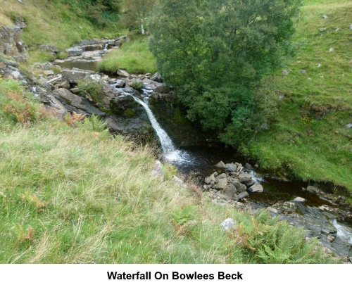 A waterfall on Bowlees Beck.