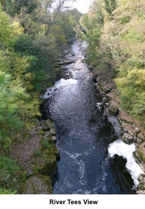 River Tees