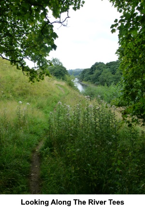 Looking along the River Tees.