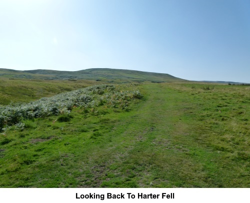 Looking back to Harter Fell.