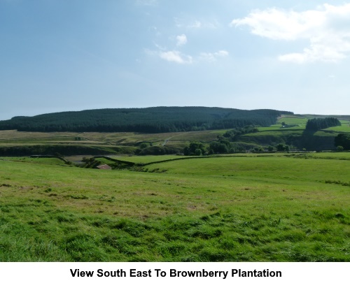 View to Brownberry plantation.