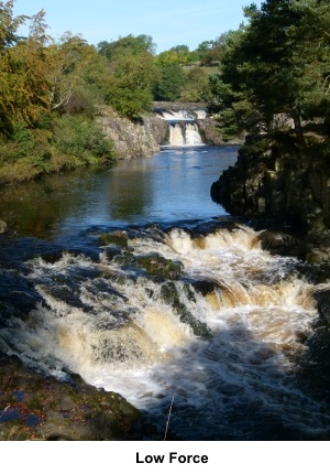 Low Force